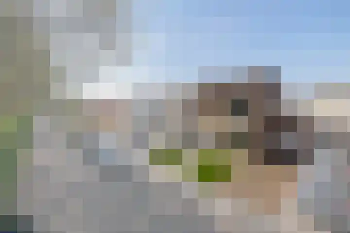 Petuniastraat 13 Ittervoort thumbnail 27