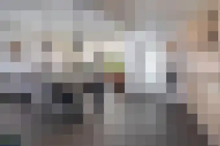 Petuniastraat 13 Ittervoort thumbnail 5