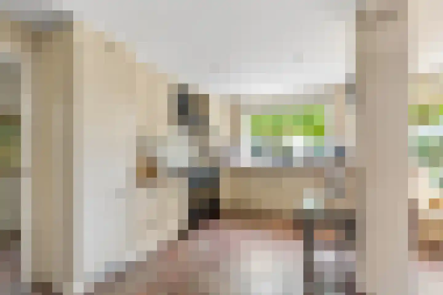 Petuniastraat 16 Rhenen thumbnail 11