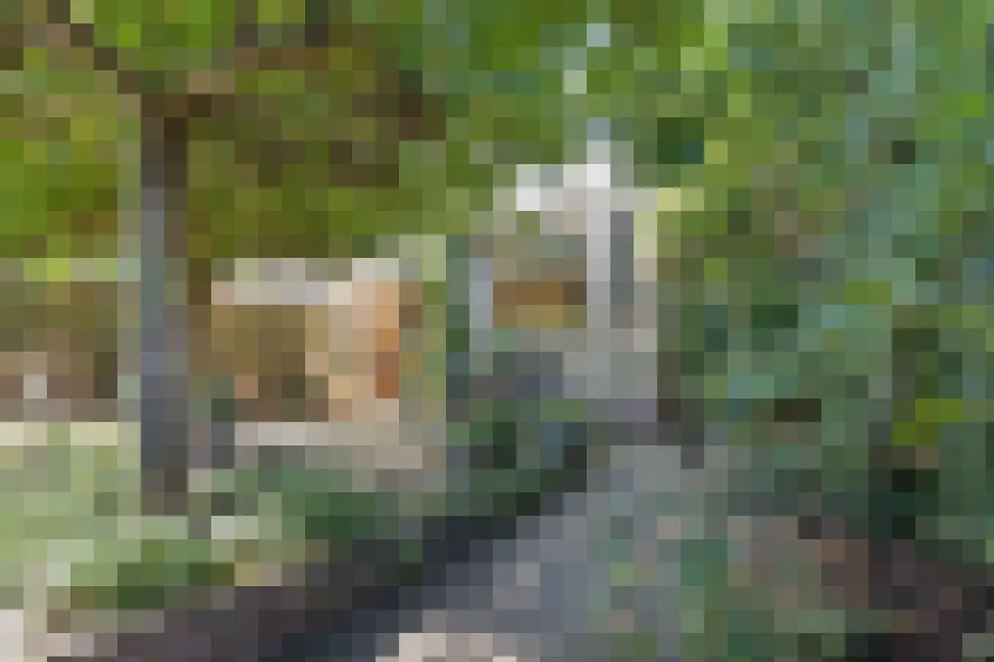 Petuniastraat 16 Rhenen thumbnail 25