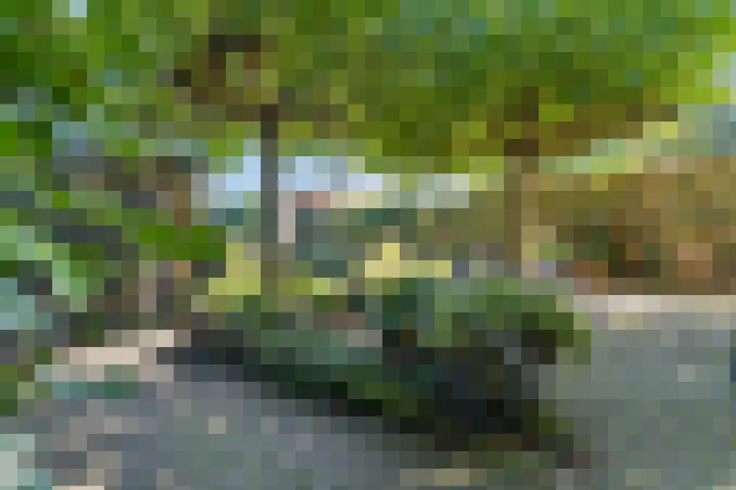 Petuniastraat 16 Rhenen thumbnail 27