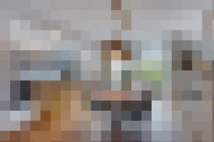 Petuniastraat 17 Rosmalen thumbnail 10