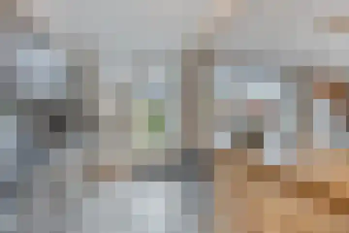 Petuniastraat 17 Rosmalen thumbnail 11