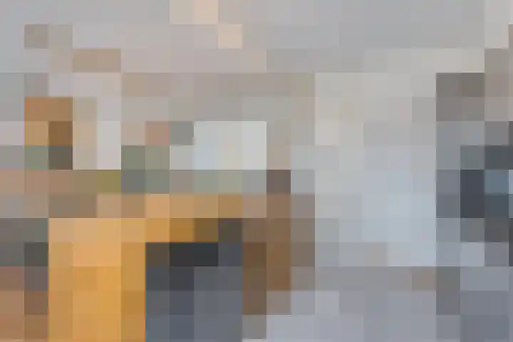 Petuniastraat 17 Rosmalen thumbnail 12