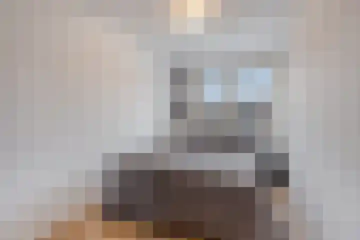 Petuniastraat 17 Rosmalen thumbnail 19