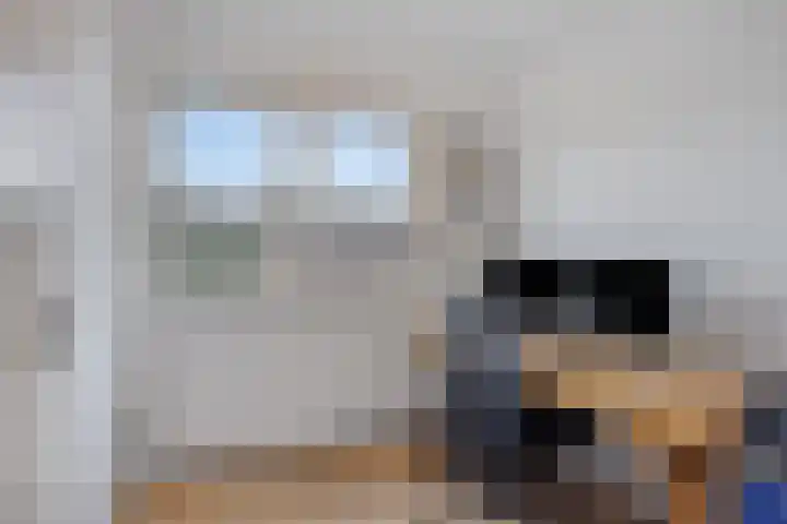 Petuniastraat 17 Rosmalen thumbnail 20