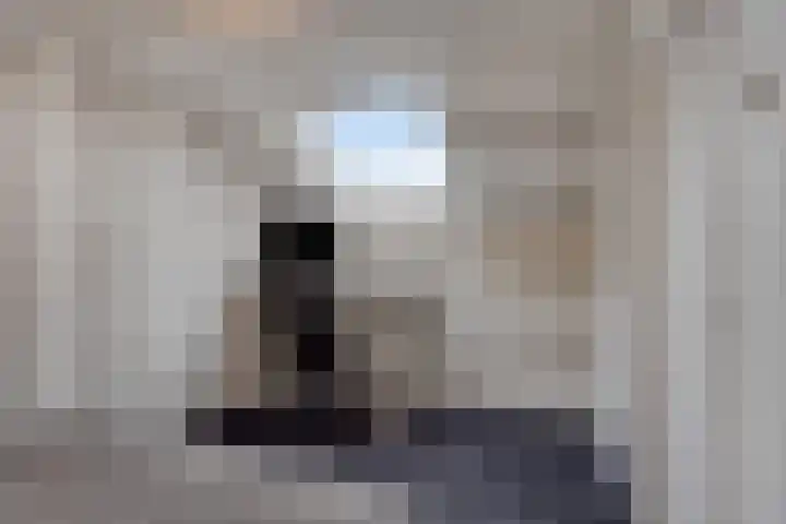 Petuniastraat 17 Rosmalen thumbnail 25