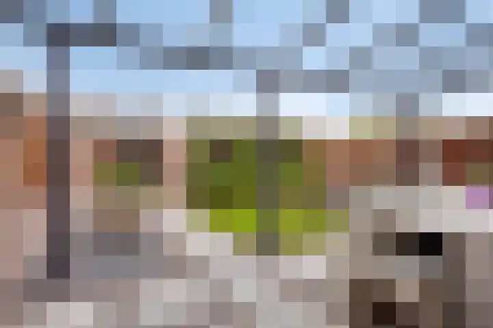 Petuniastraat 17 Rosmalen thumbnail 26