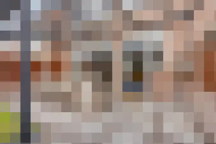 Petuniastraat 17 Rosmalen thumbnail 27