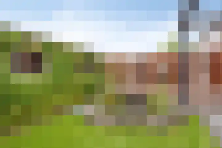 Petuniastraat 17 Rosmalen thumbnail 28