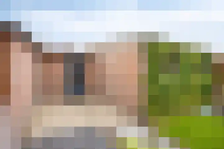 Petuniastraat 17 Rosmalen thumbnail 29