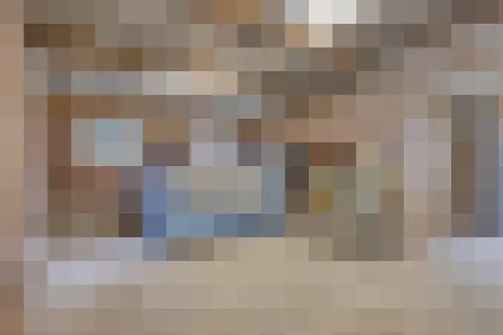 Petuniastraat 17 Rosmalen thumbnail 31