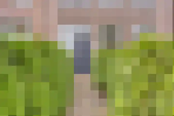 Petuniastraat 17 Rosmalen thumbnail 34