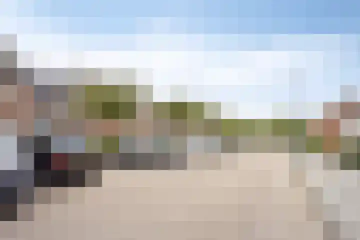 Petuniastraat 17 Rosmalen thumbnail 36