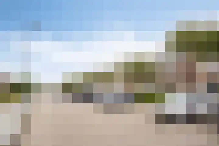 Petuniastraat 17 Rosmalen thumbnail 37