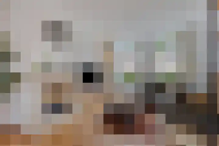 Petuniastraat 17 Rosmalen thumbnail 4
