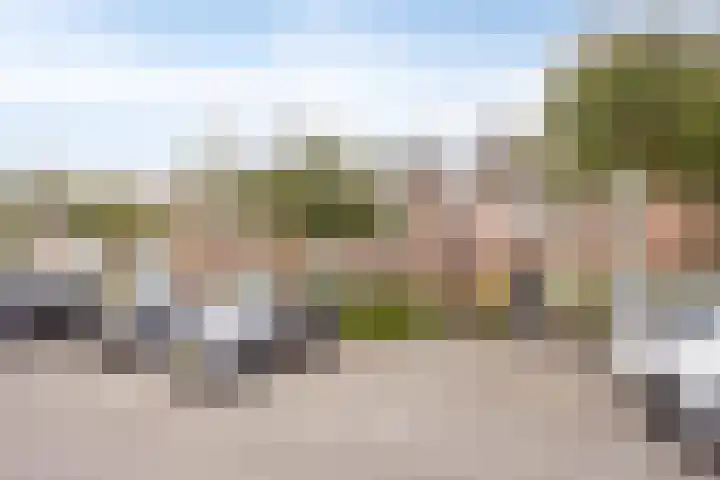 Petuniastraat 17 Rosmalen thumbnail 46