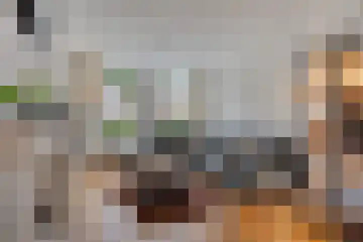 Petuniastraat 17 Rosmalen thumbnail 5