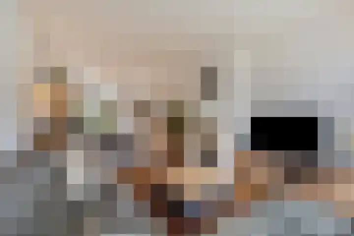 Petuniastraat 17 Rosmalen thumbnail 6
