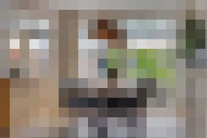 Petuniastraat 17 Rosmalen thumbnail 8