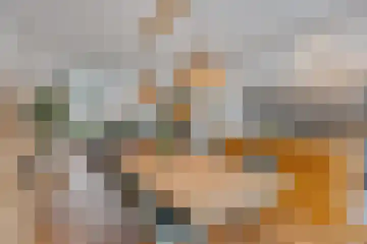 Petuniastraat 17 Rosmalen thumbnail 9