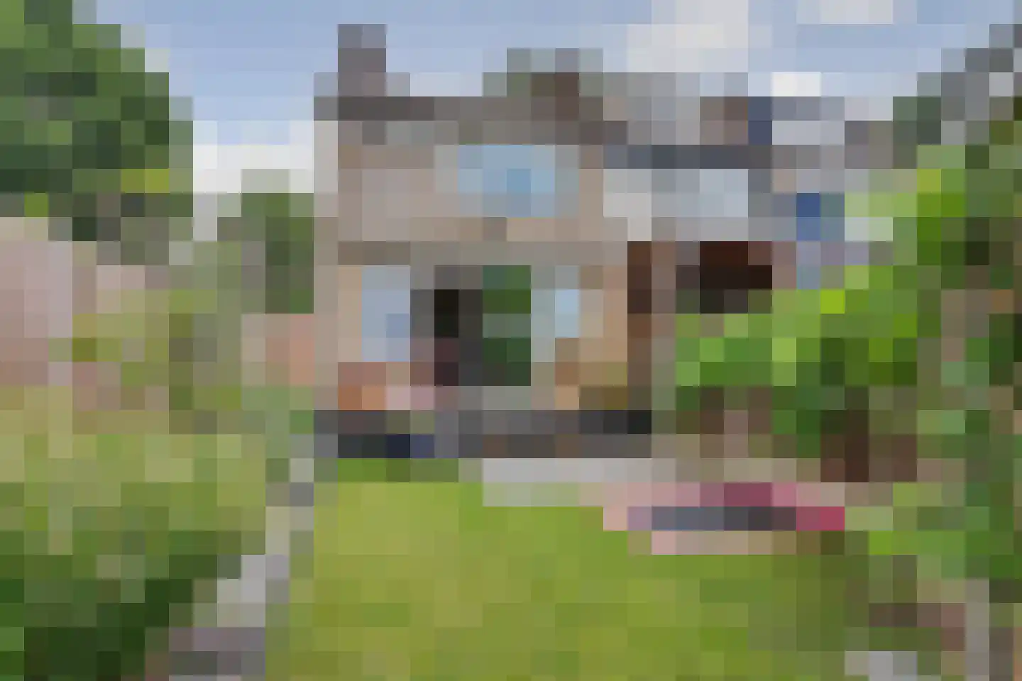 Petuniastraat 24 Enschede thumbnail 24