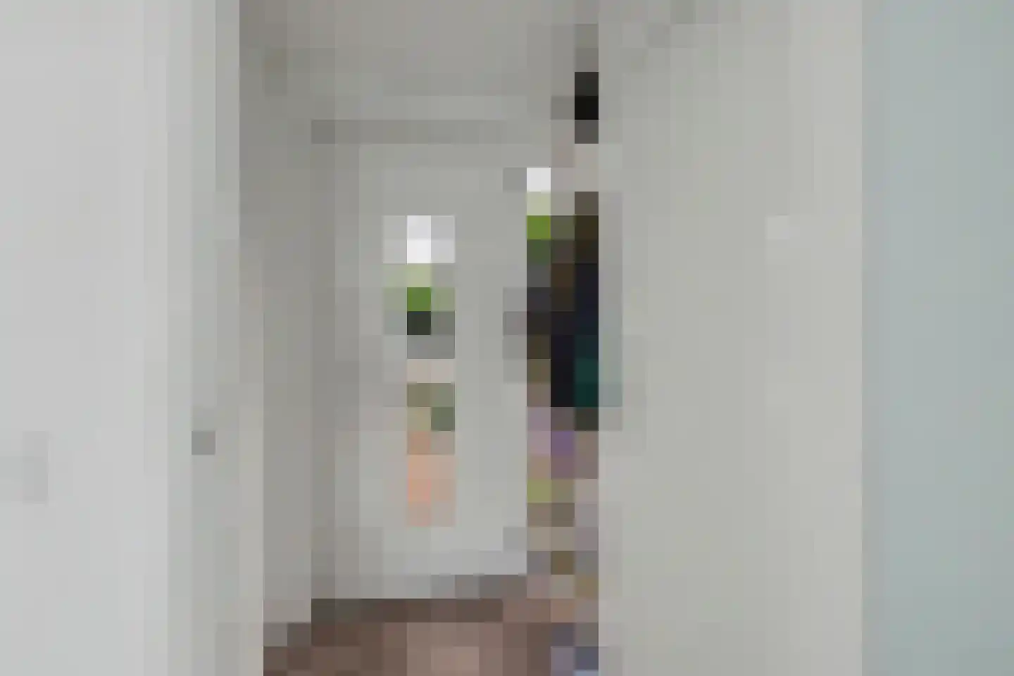 Petuniastraat 24 Enschede thumbnail 7