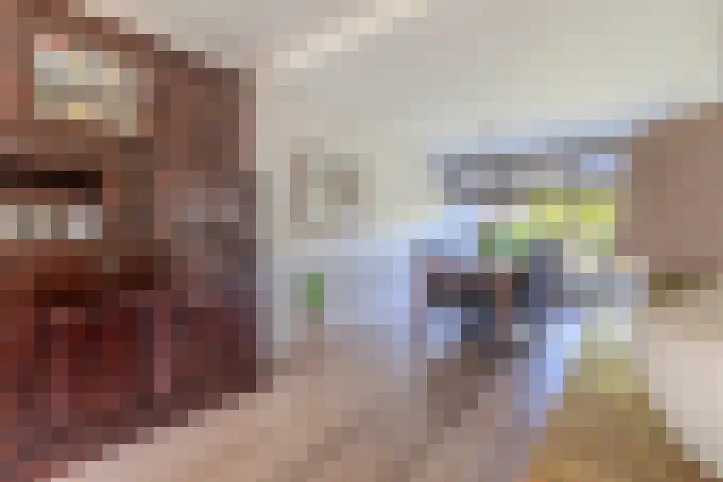 Petuniastraat 26 Rhenen thumbnail 11