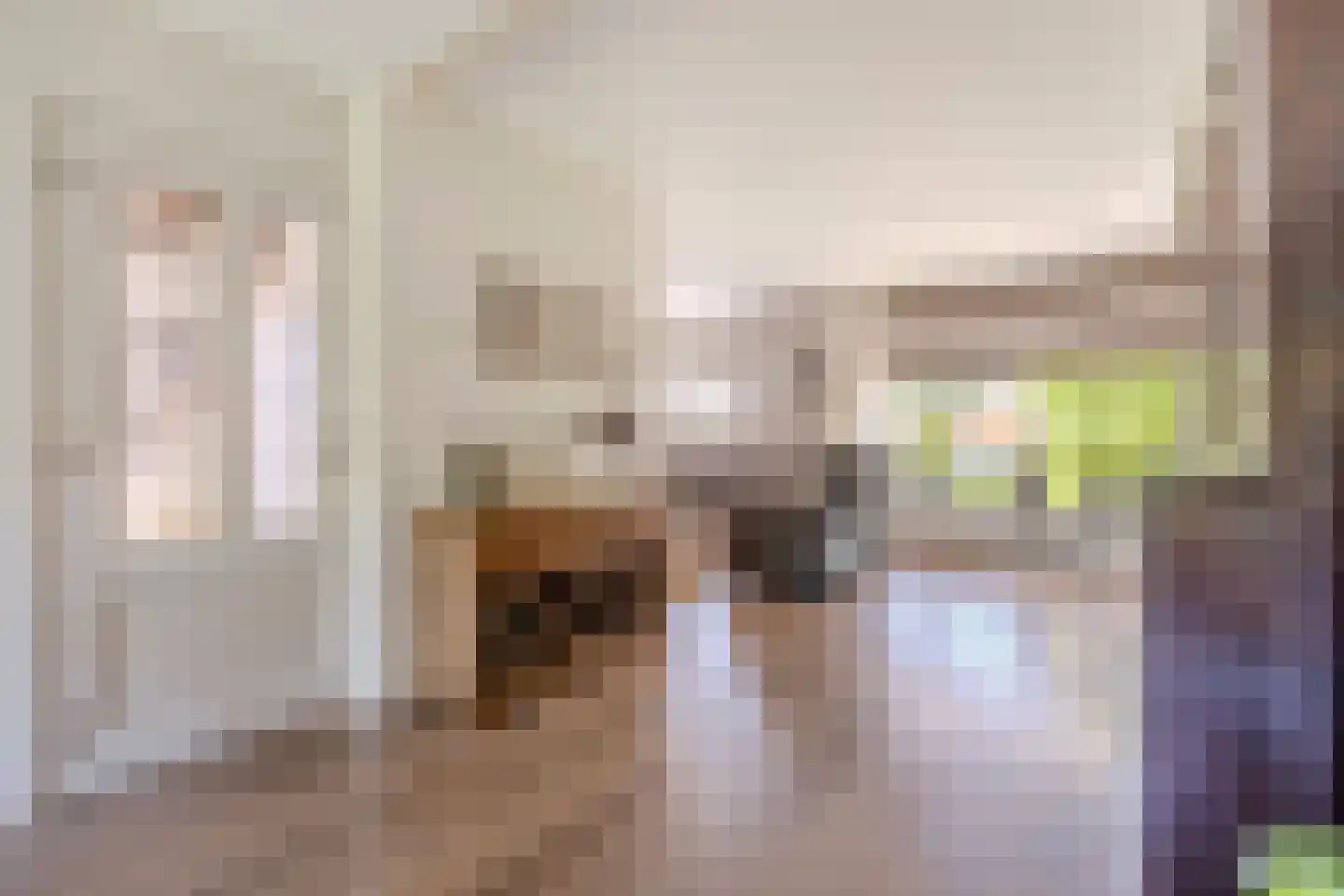 Petuniastraat 26 Rhenen thumbnail 13
