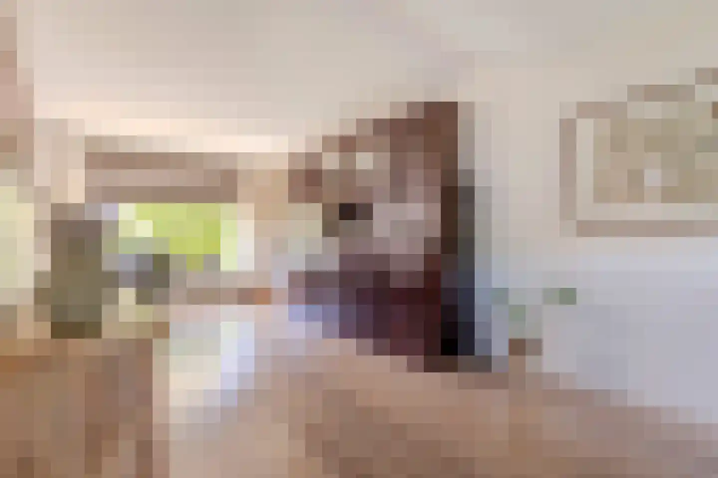Petuniastraat 26 Rhenen thumbnail 14