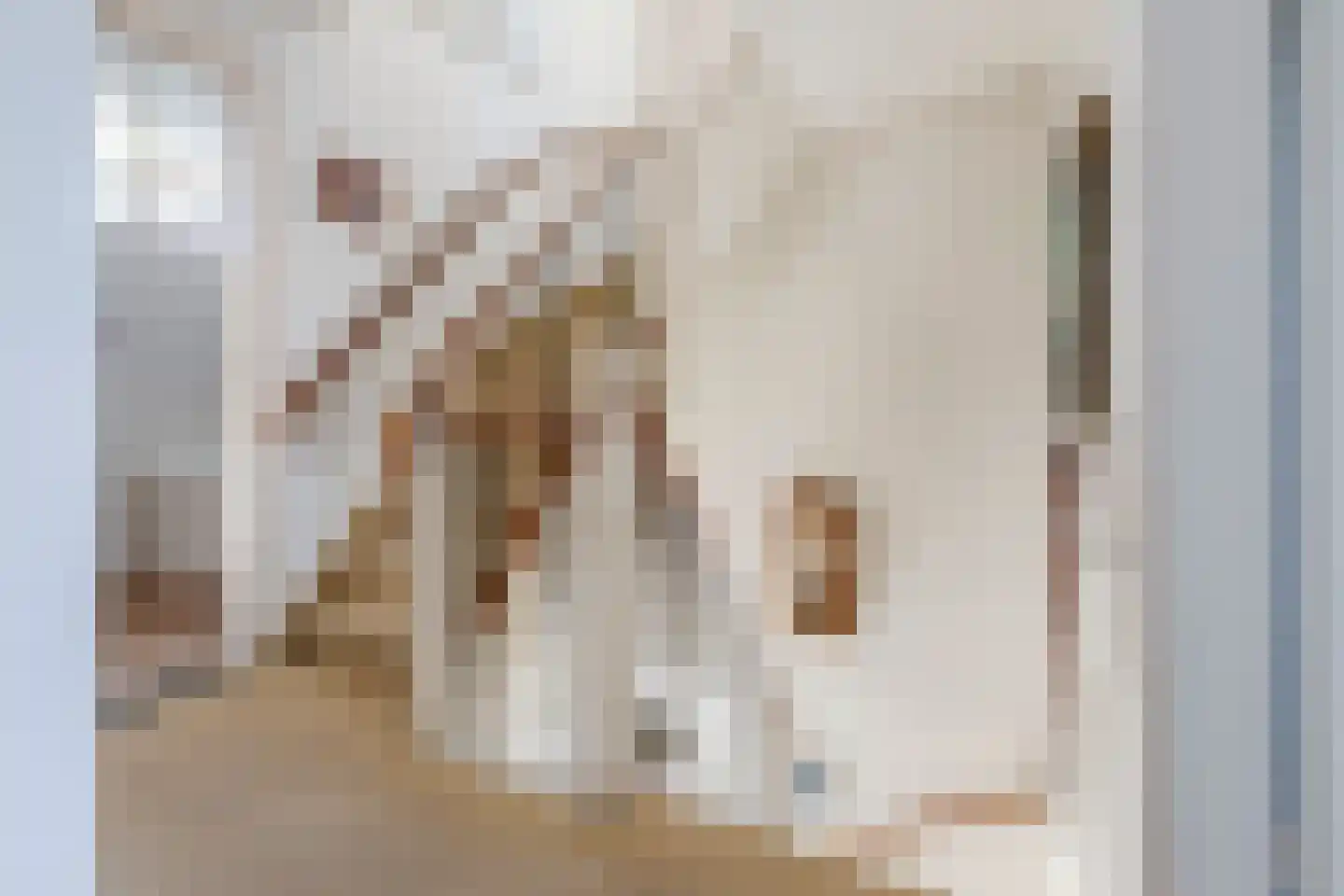 Petuniastraat 26 Rhenen thumbnail 24