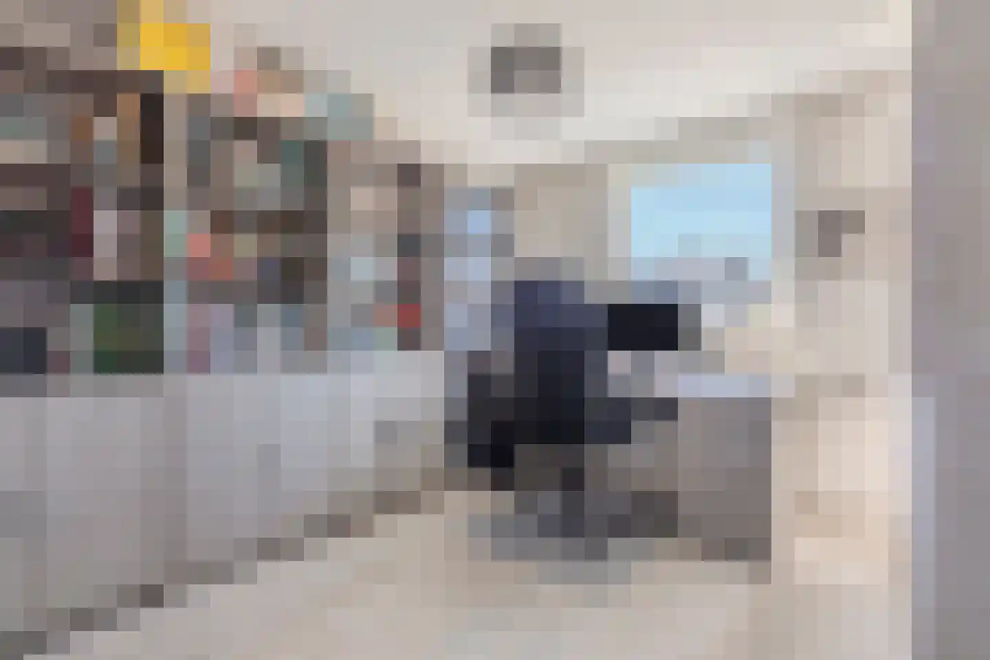 Petuniastraat 26 Rhenen thumbnail 32