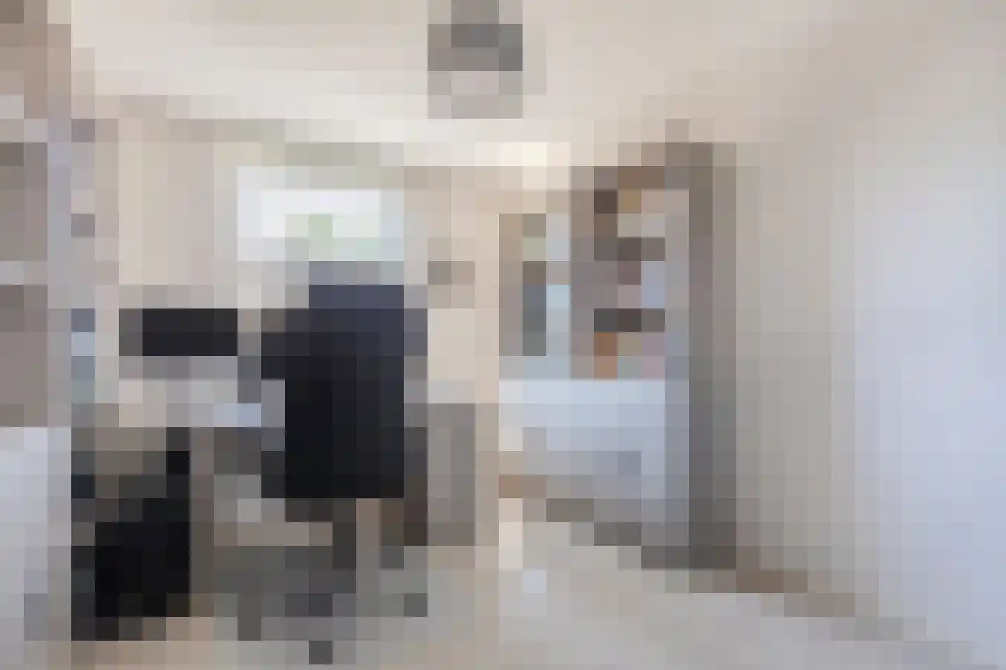 Petuniastraat 26 Rhenen thumbnail 33