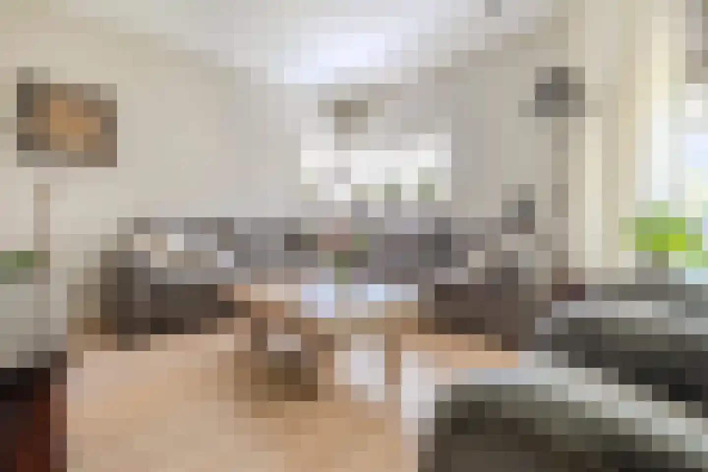 Petuniastraat 26 Rhenen thumbnail 5