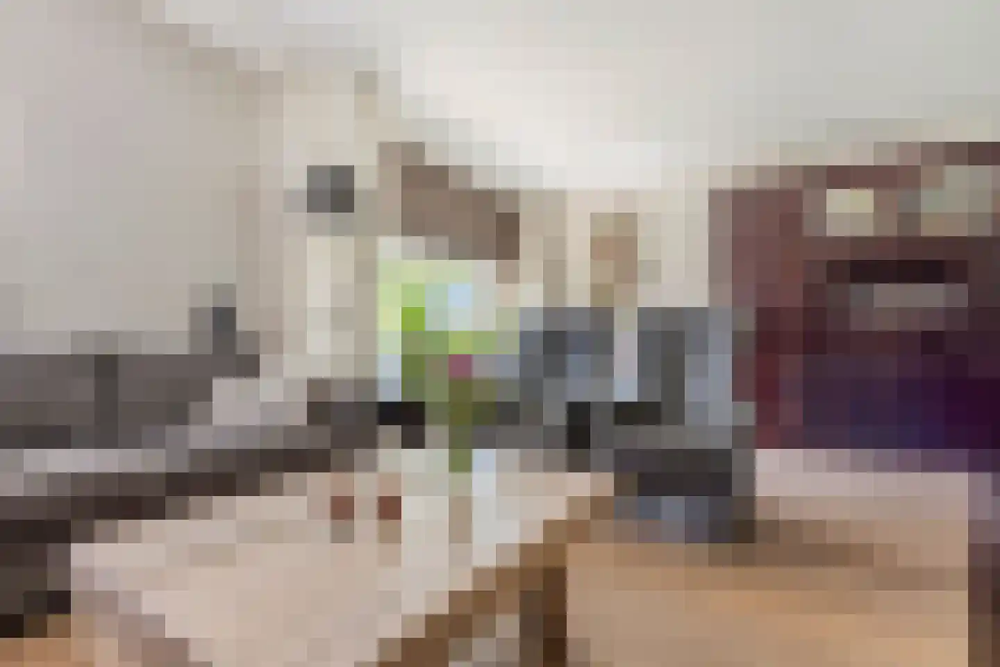 Petuniastraat 26 Rhenen thumbnail 7