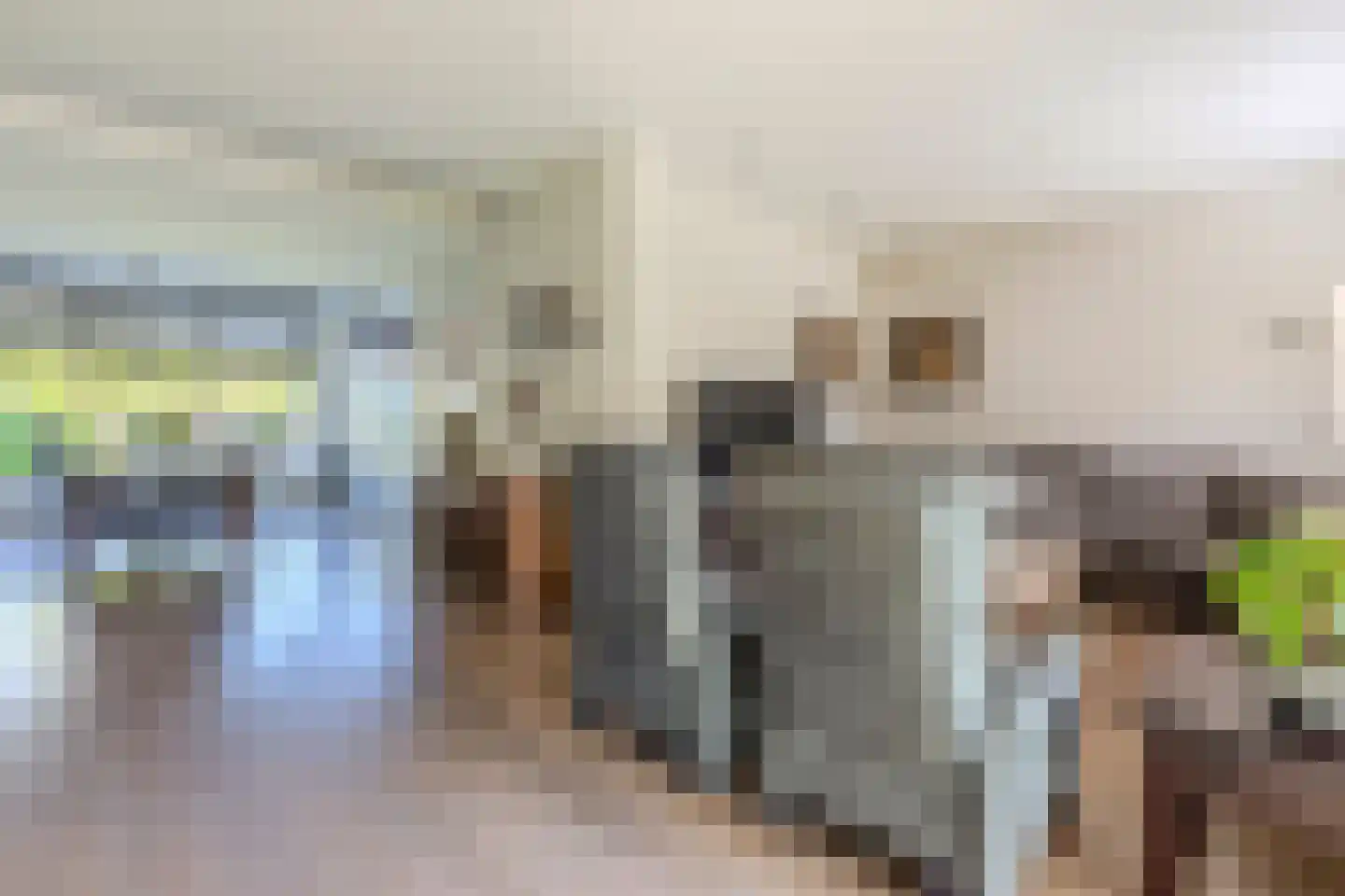 Petuniastraat 26 Rhenen thumbnail 8
