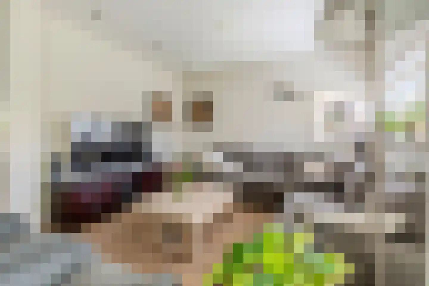 Petuniastraat 26 Rhenen thumbnail 9