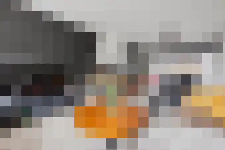 Petuniastraat 30 Drunen thumbnail 11