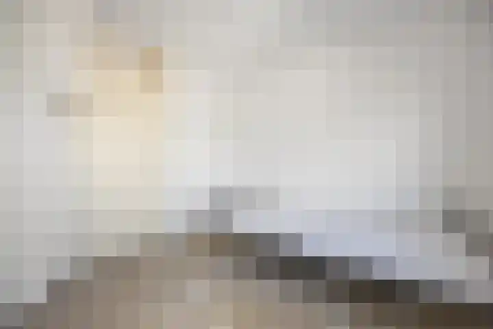 Petuniastraat 30 Drunen thumbnail 18