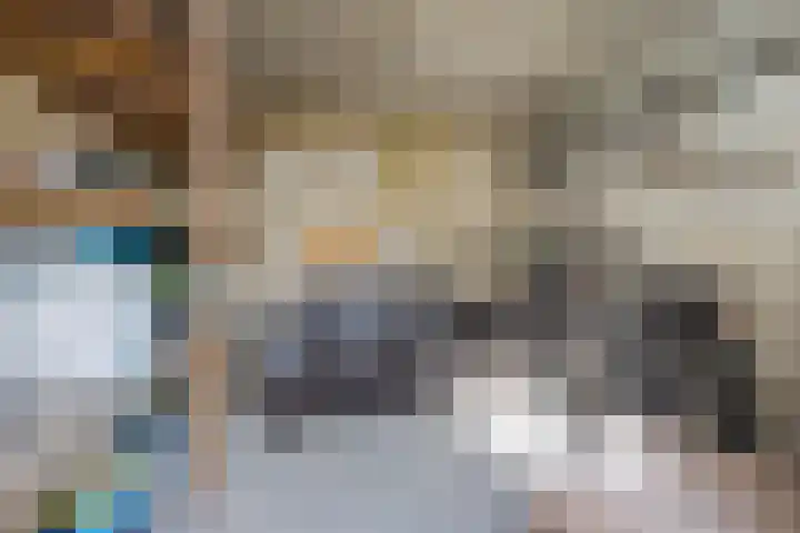 Petuniastraat 30 Drunen thumbnail 28