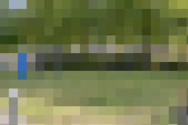 Petuniastraat 30 Drunen thumbnail 31