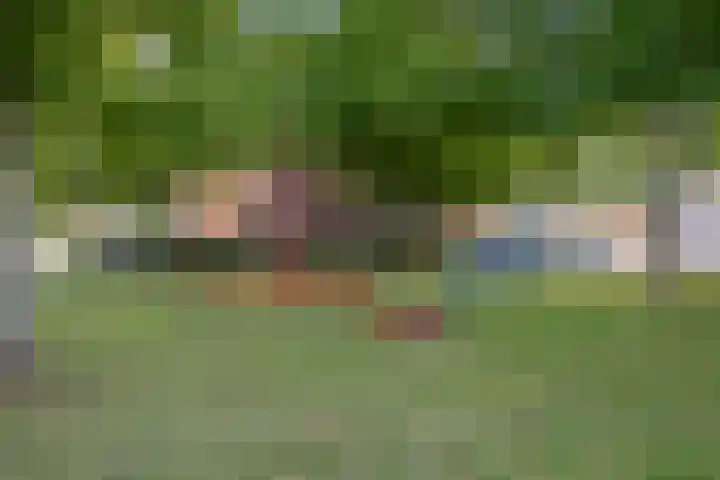 Petuniastraat 30 Drunen thumbnail 32