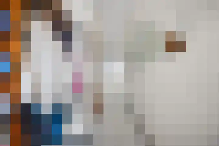 Petuniastraat 30 Drunen thumbnail 5