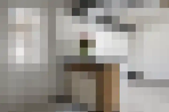 Petuniastraat 30 Drunen thumbnail 6