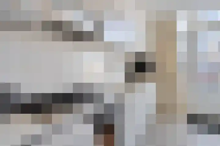 Petuniastraat 30 Rosmalen thumbnail 10