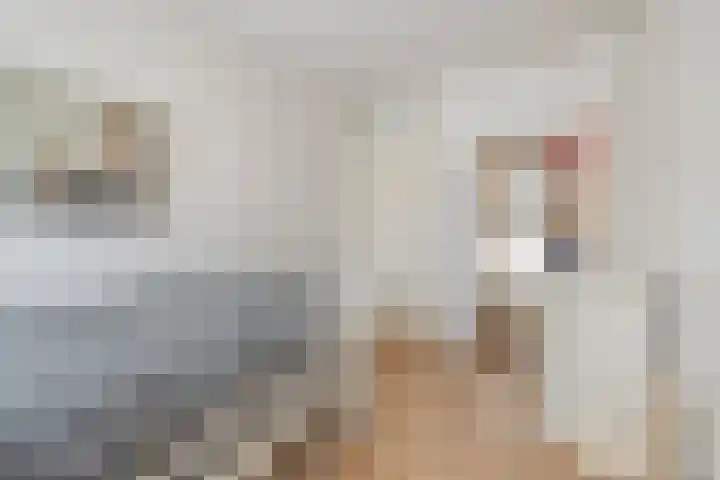 Petuniastraat 30 Rosmalen thumbnail 18