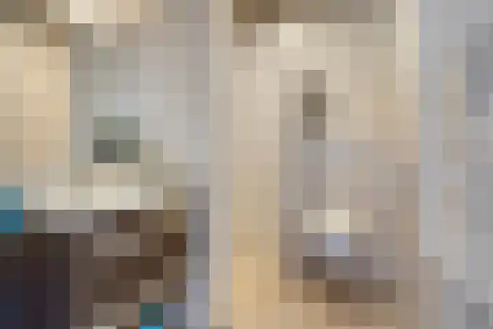 Petuniastraat 30 Rosmalen thumbnail 20