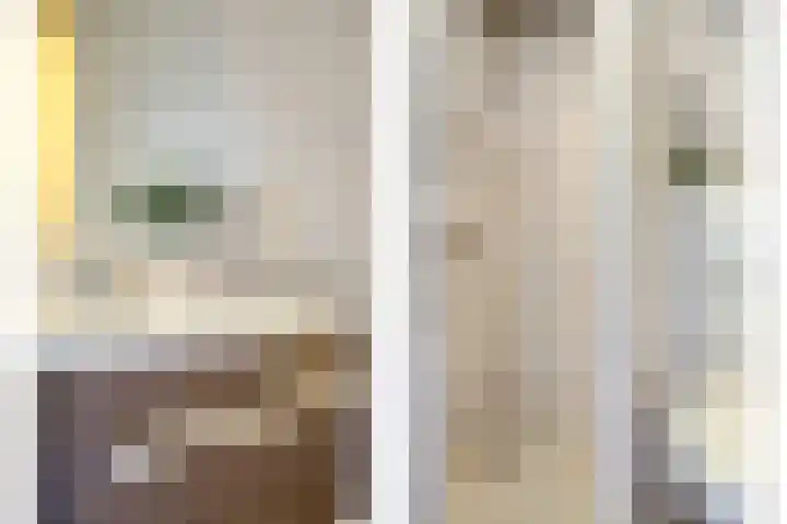 Petuniastraat 30 Rosmalen thumbnail 21