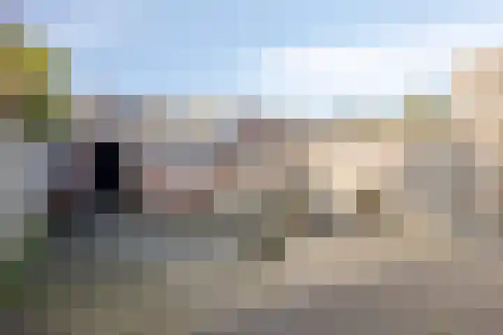 Petuniastraat 30 Rosmalen thumbnail 25
