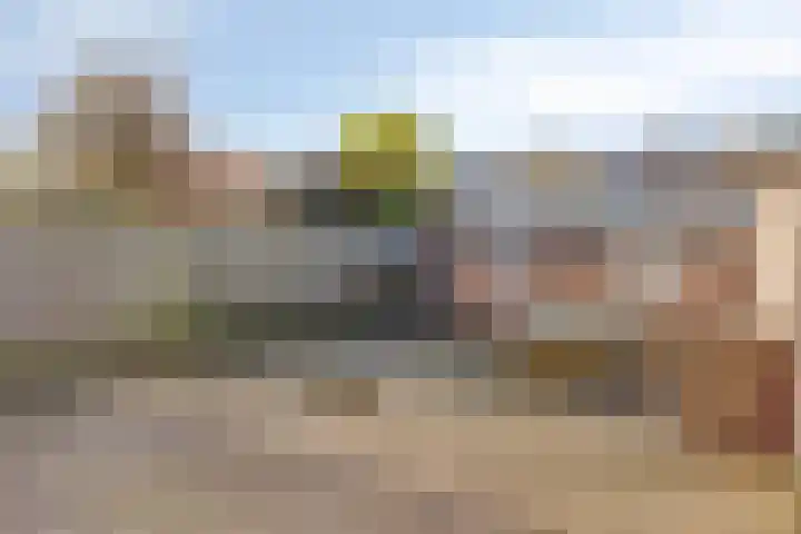 Petuniastraat 30 Rosmalen thumbnail 26